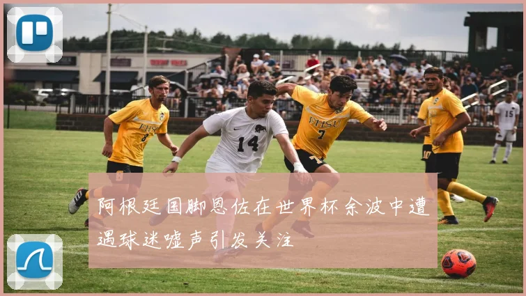 阿根廷国脚恩佐在世界杯余波中遭遇球迷嘘声引发关注